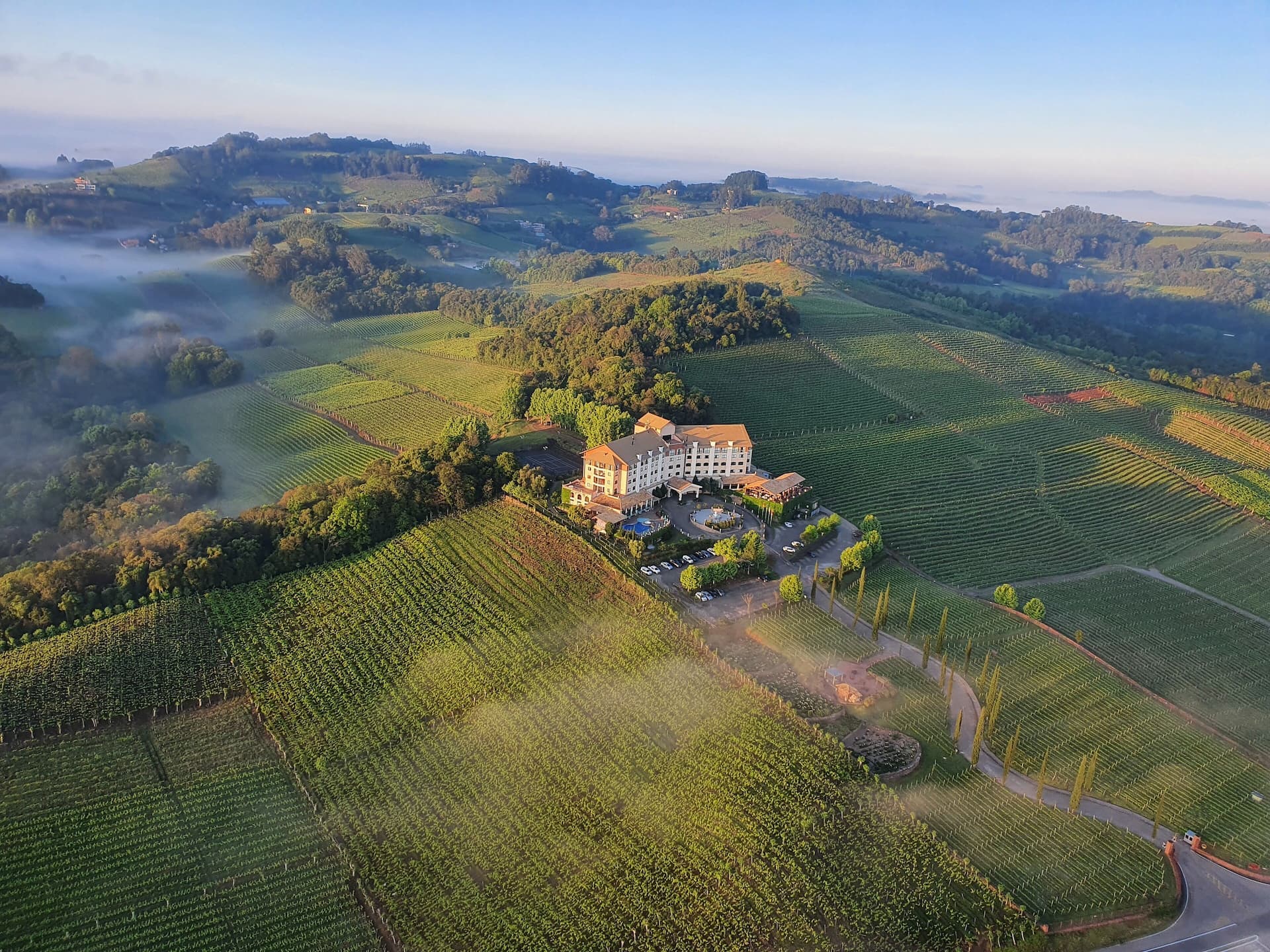 Brazil wine region
