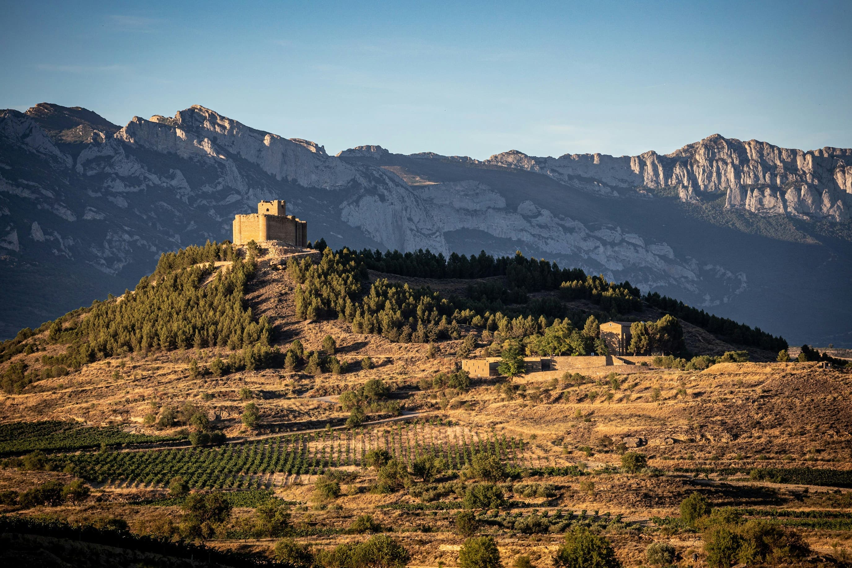 Spain wine region