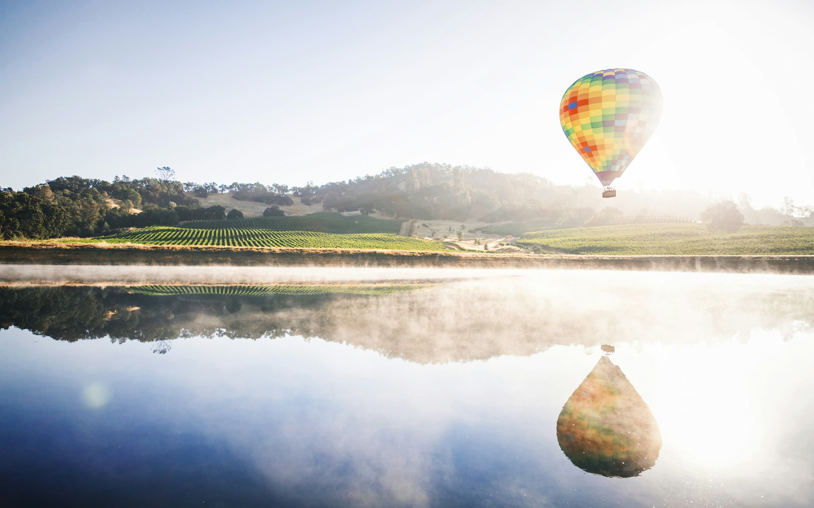 USA vineyards
