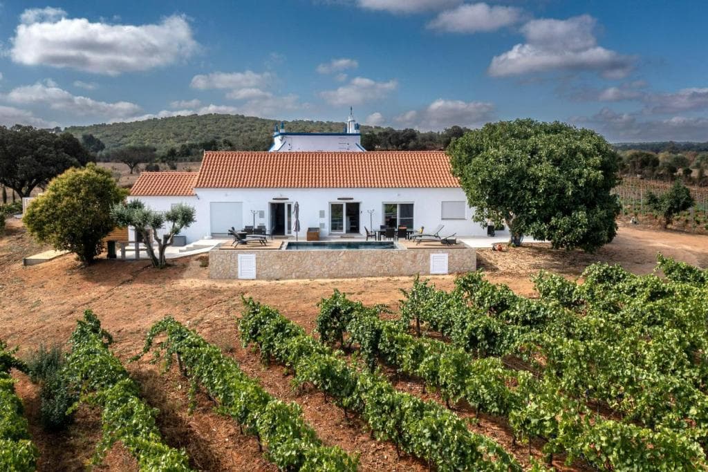 Quinta da Plansel | Arinto in Alentejo