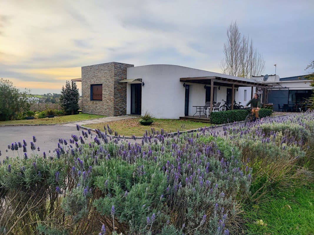 Pizzorno Lodge & Wine in Metropolitan